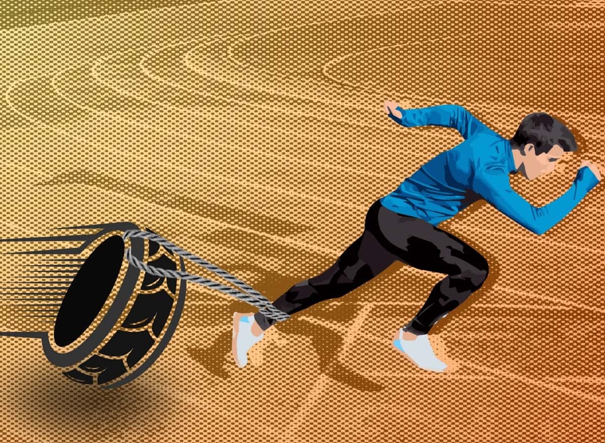 Banner image