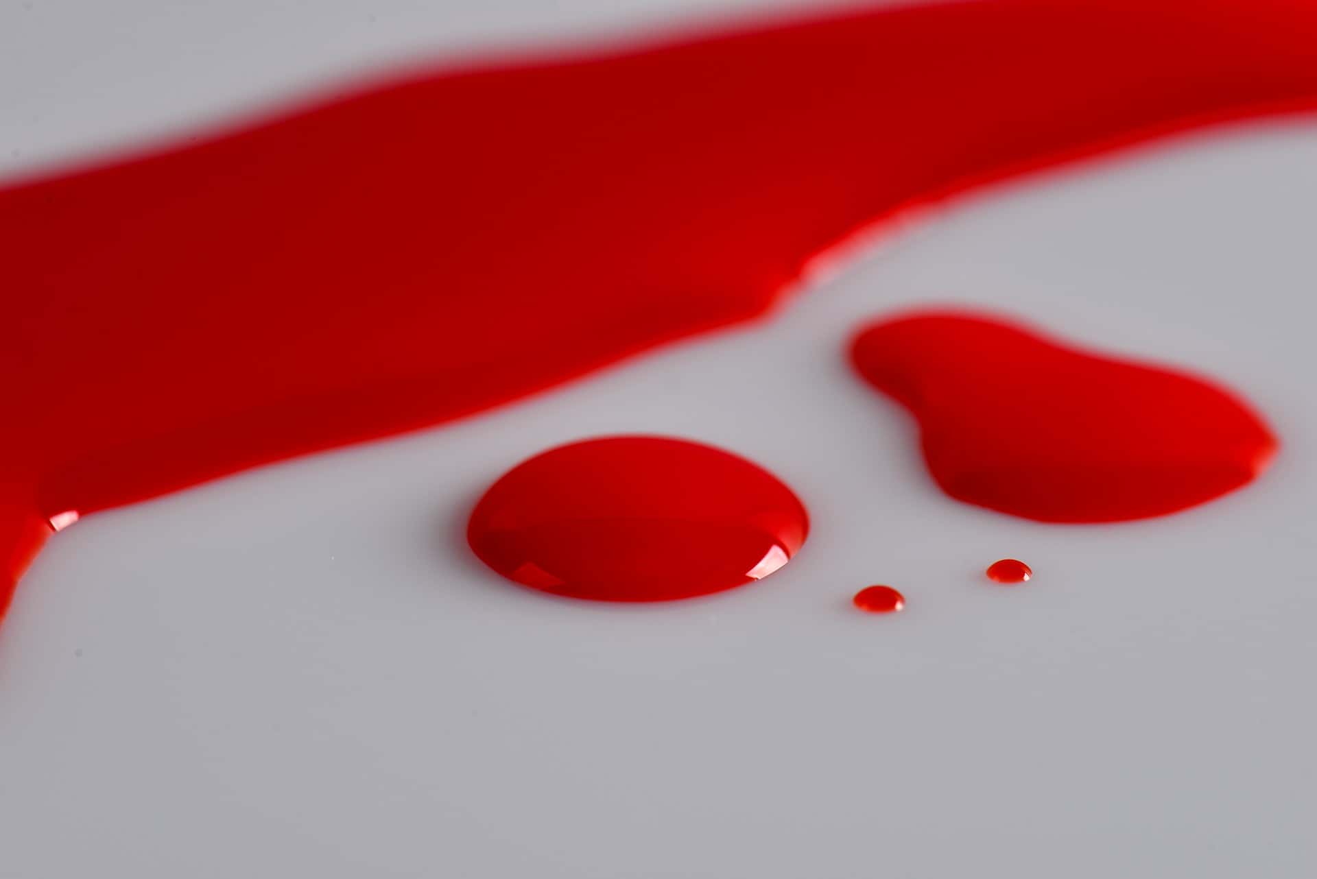 Banner image