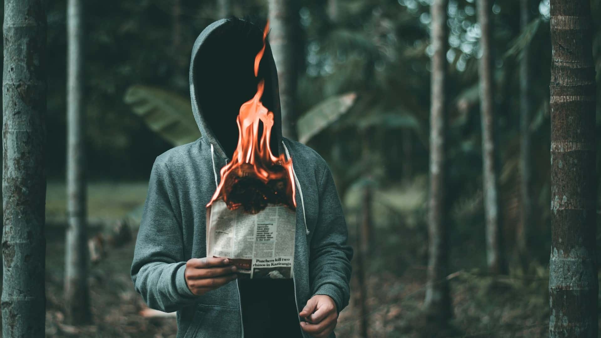 Banner image