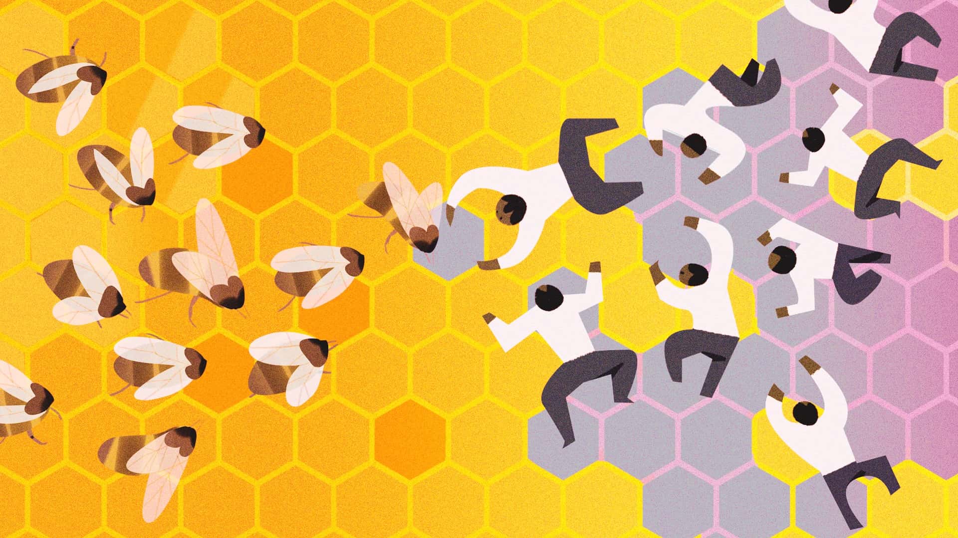 Banner image